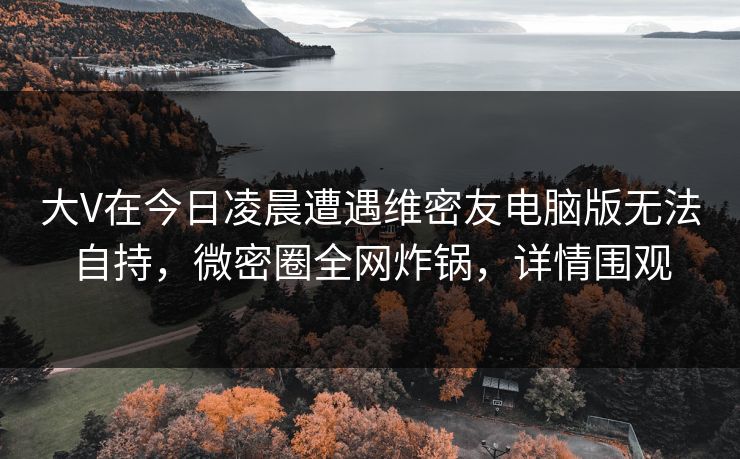 大V在今日凌晨遭遇维密友电脑版无法自持，微密圈全网炸锅，详情围观
