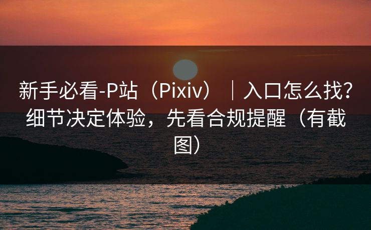 新手必看-P站（Pixiv）｜入口怎么找？细节决定体验，先看合规提醒（有截图）